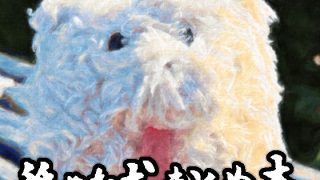 Thumbnail of post image 061